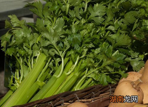 欧芹味道接近香菜还是芹菜