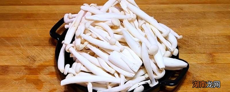 白玉菇不焯水有毒吗，能吃吗