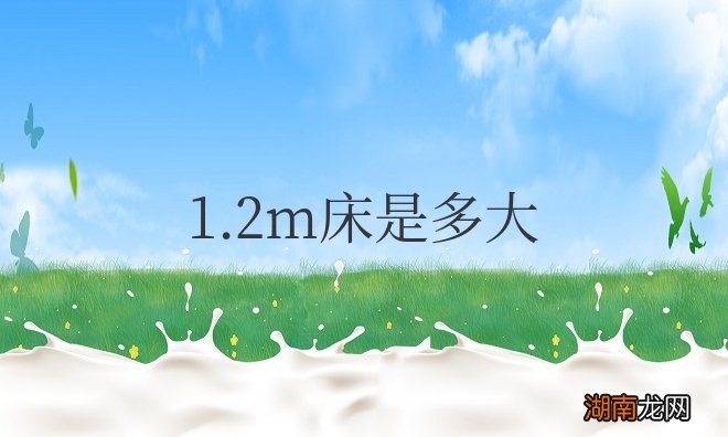 学生宿舍的床是1.2还是1.5 1.2m床是多大