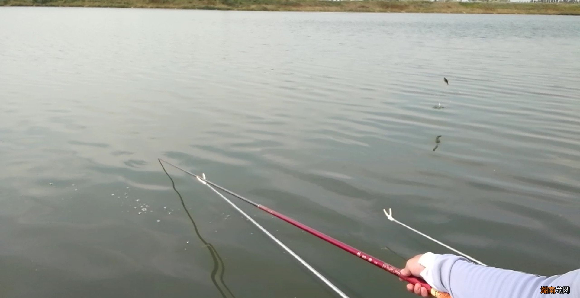 钓小鱼如何钓浮调漂效果最佳 钓鱼浮漂怎么调试正确