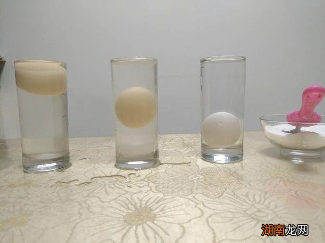 怎么让鸡蛋浮起来的实验过程