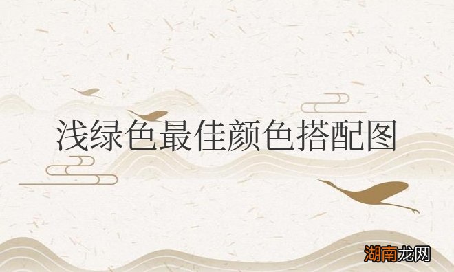 上衣浅绿色最佳颜色搭配图