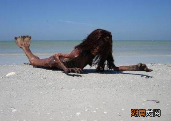 现实生活中有没有美人鱼 世界上真的有美人鱼存在吗