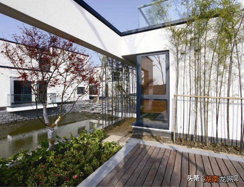 家门前种竹子影响风水的讲究禁忌 门前种竹子风水好不好