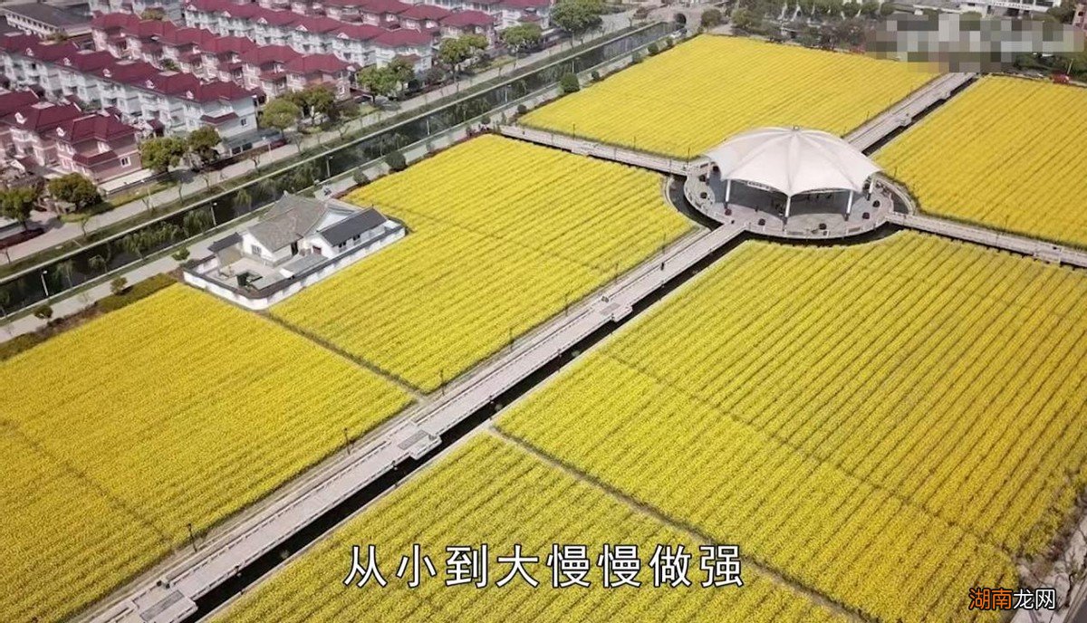 国内最富有的土豪村排行榜 全中国最有钱的村叫什么