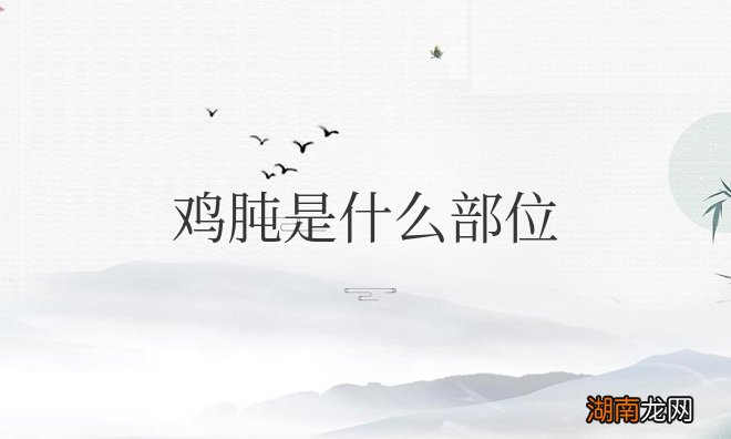 鸡肫是什么部位的名字