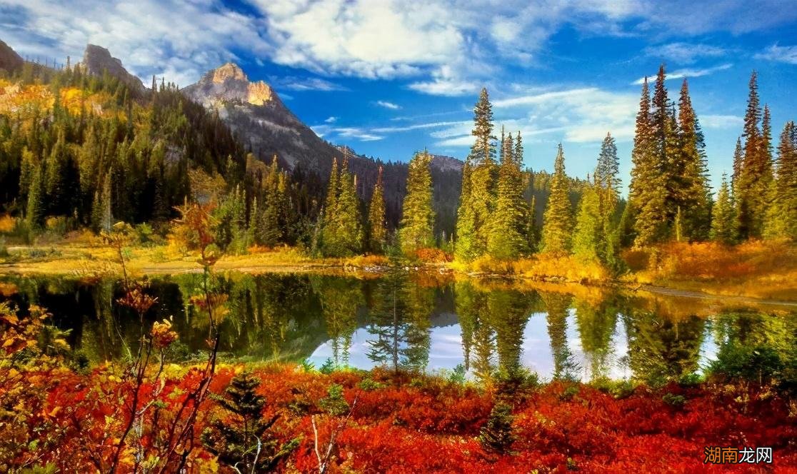 水瓶聊天态度看出他喜欢你 细节判断水瓶女喜欢你