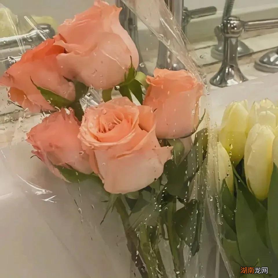 金牛座的3个典型特征 金牛座的性格特点有优缺点