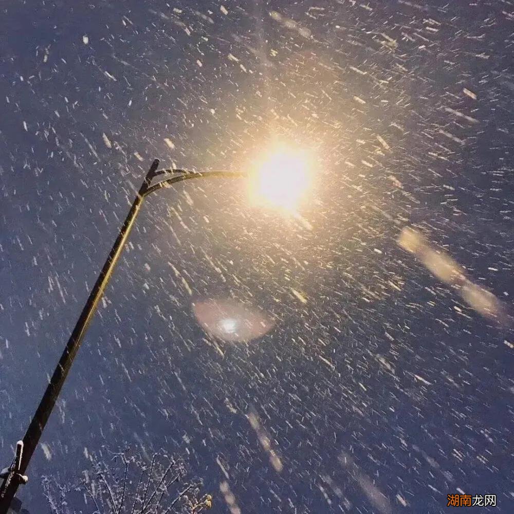 金牛座的3个典型特征 金牛座的性格特点有优缺点