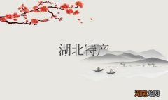 有哪些特产可以送人的 湖北特产排行榜前十名