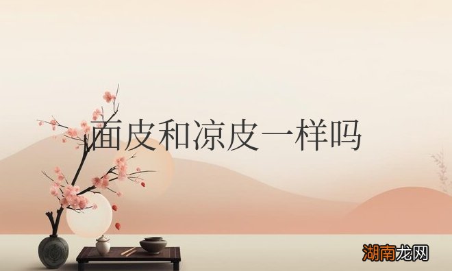 有什么区别图片 面皮和凉皮一样吗