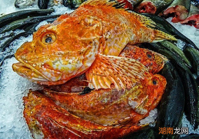 美国人饮食方式是什么样的 美国的饮食习惯特点及观念