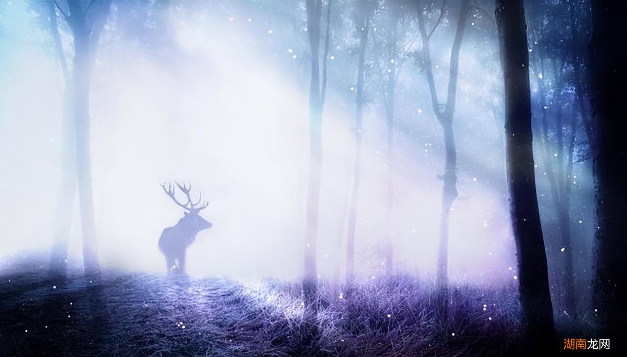 能把白羊座吃得死死的星座 白羊男驾驭不了的星座女