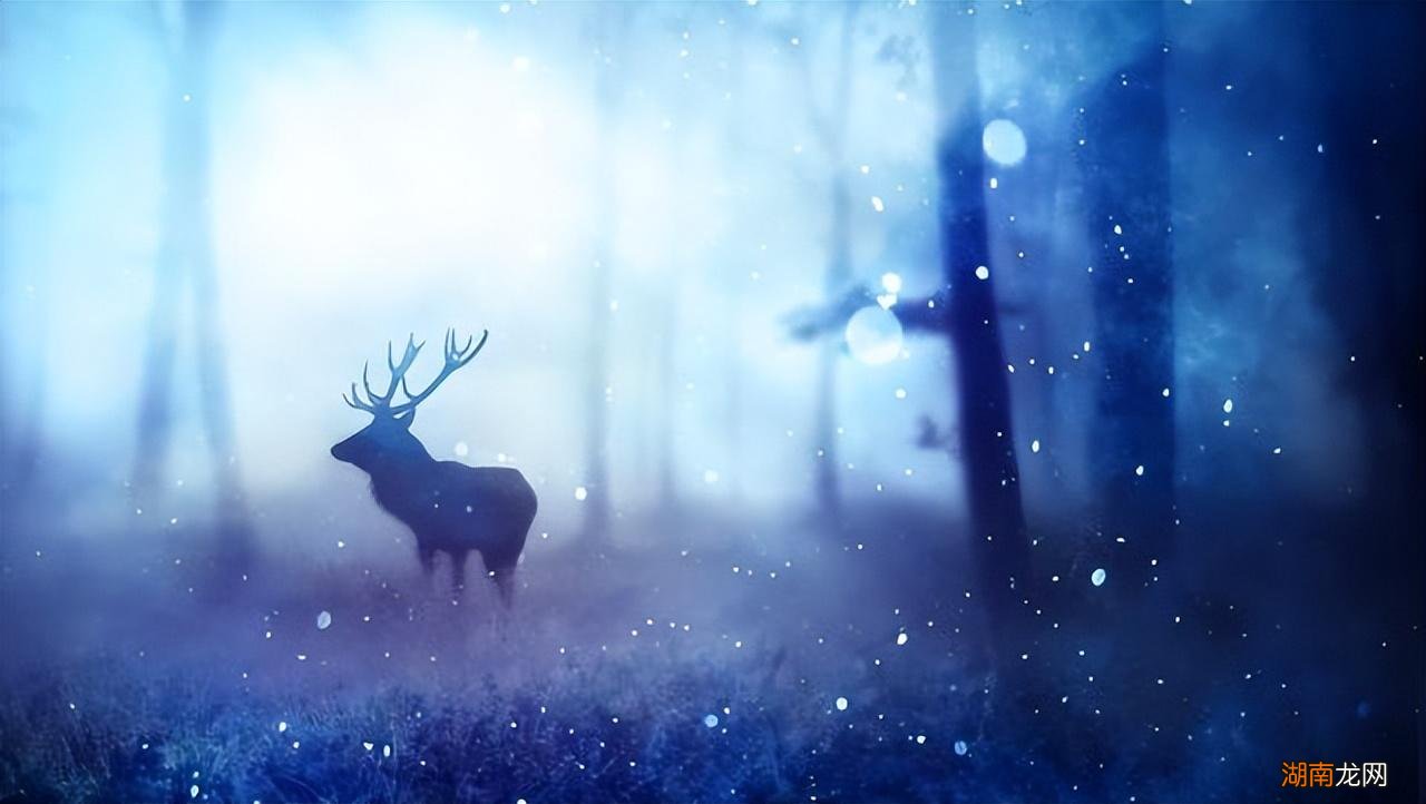 能把白羊座吃得死死的星座 白羊男驾驭不了的星座女