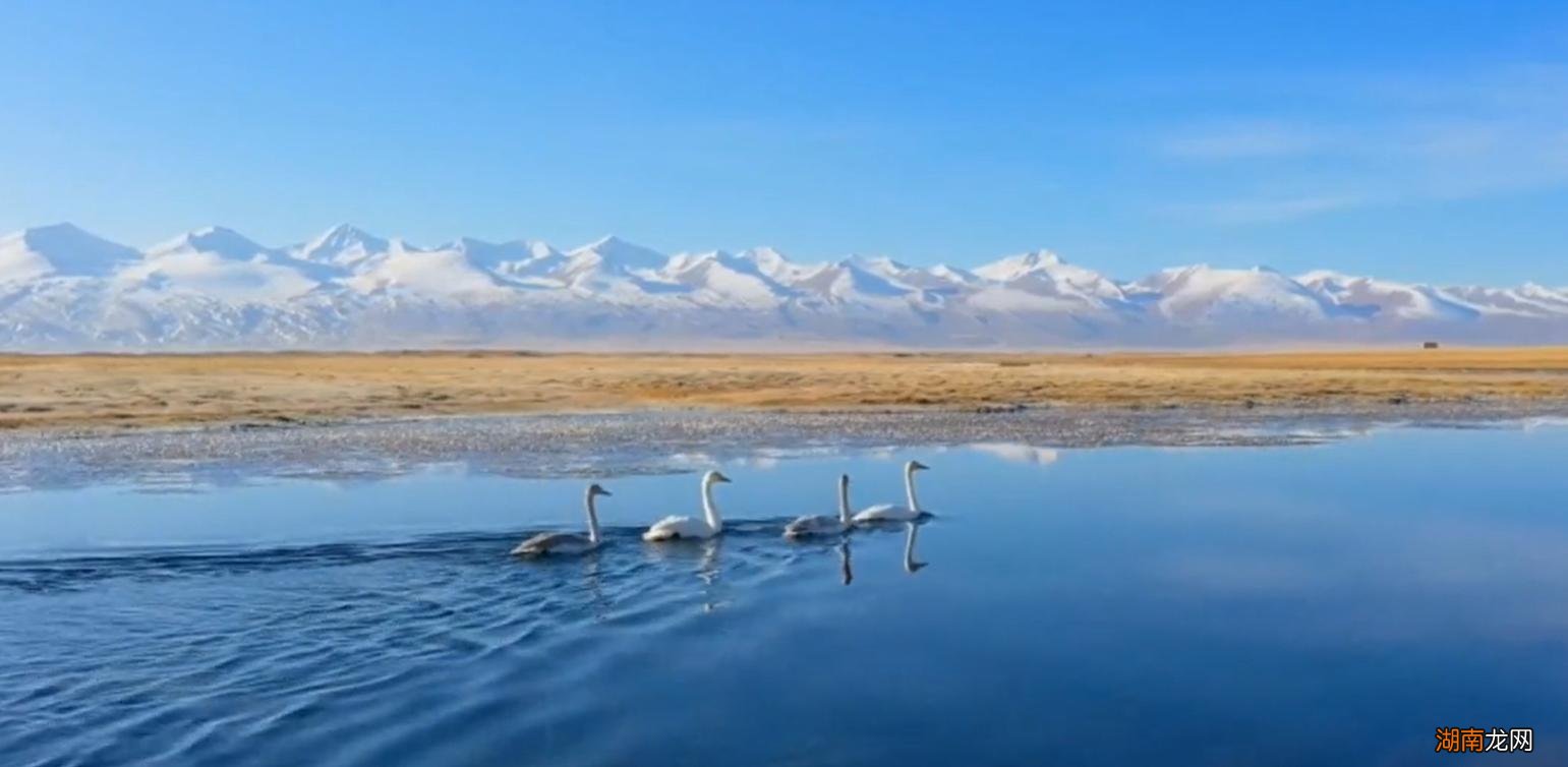 新疆十大著名的旅游景点排行榜 新疆的旅游景点有哪些