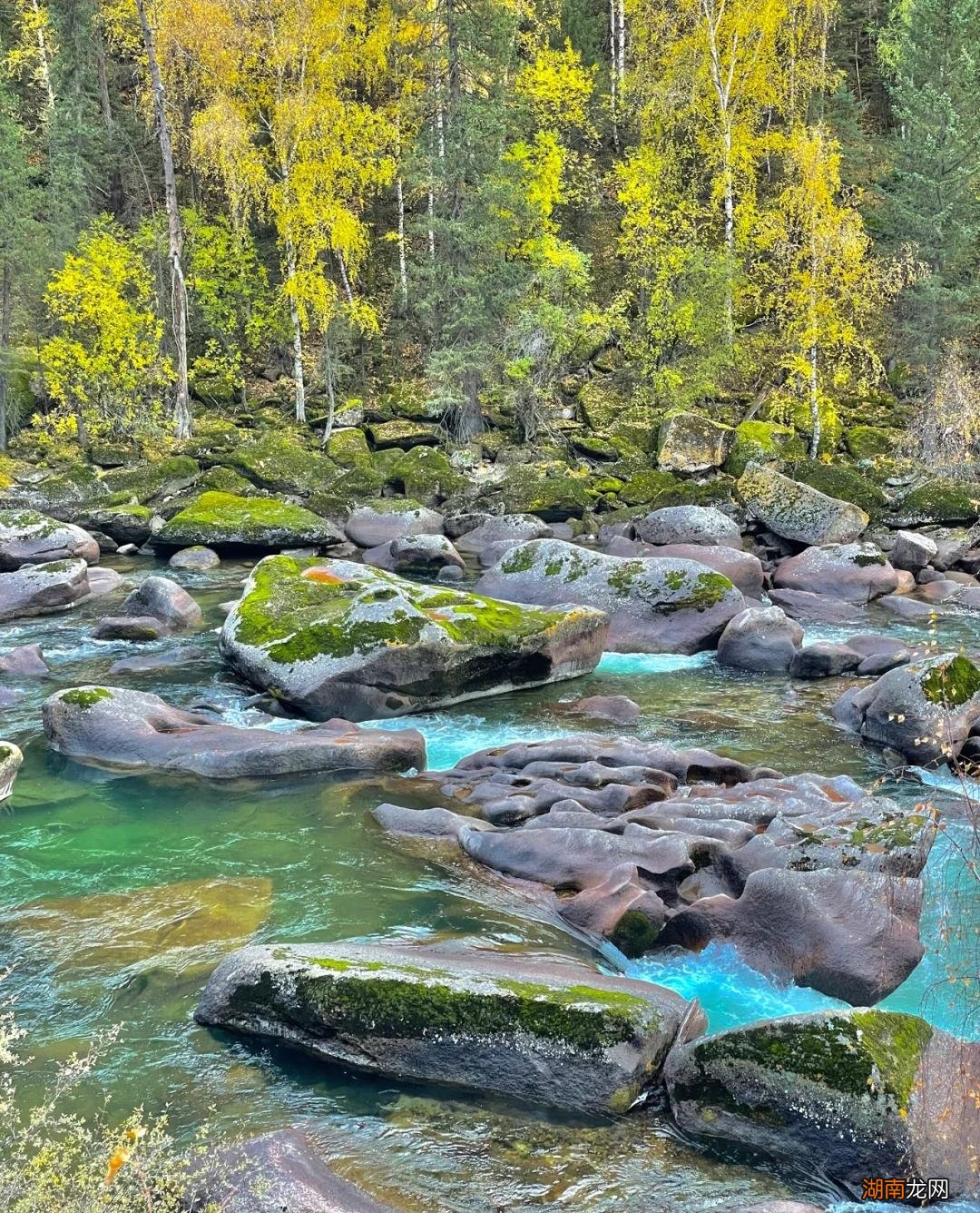 新疆十大著名的旅游景点排行榜 新疆的旅游景点有哪些