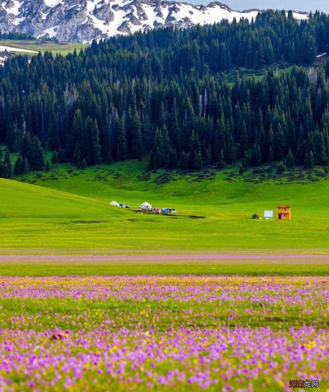 新疆十大著名的旅游景点排行榜 新疆的旅游景点有哪些