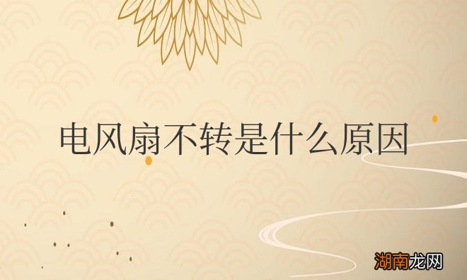 电风扇不转是什么原因应该怎么修
