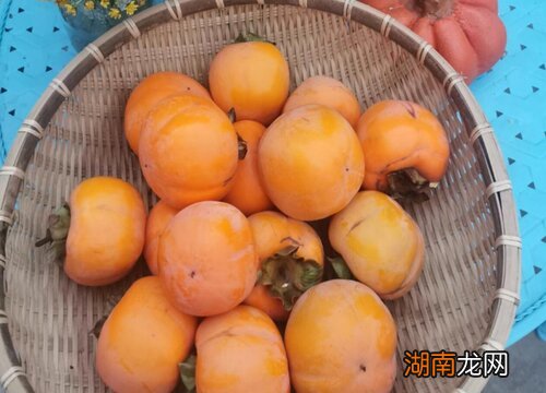 柿子用酒擦过几天能吃吗有毒吗