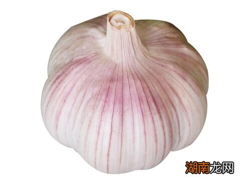 干大蒜如何长期保存方法 蒜怎么保存时间长不发芽