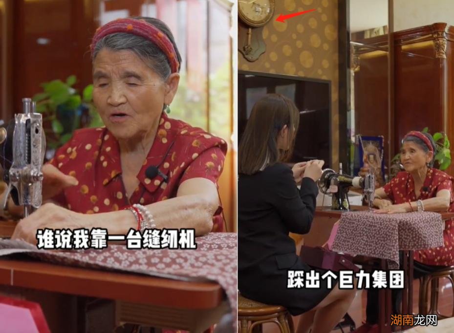 杨子的妈妈是干什么的是哪里人 杨子妈妈家是干什么的