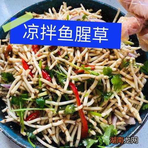 四川折耳根是什么东西?怎样做好吃?