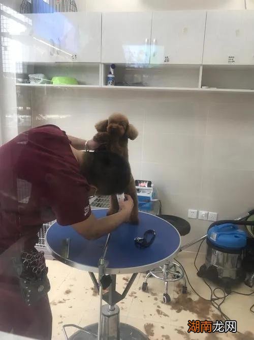 六个无学历要求的高薪行业 没学历自由度极高的冷门工作