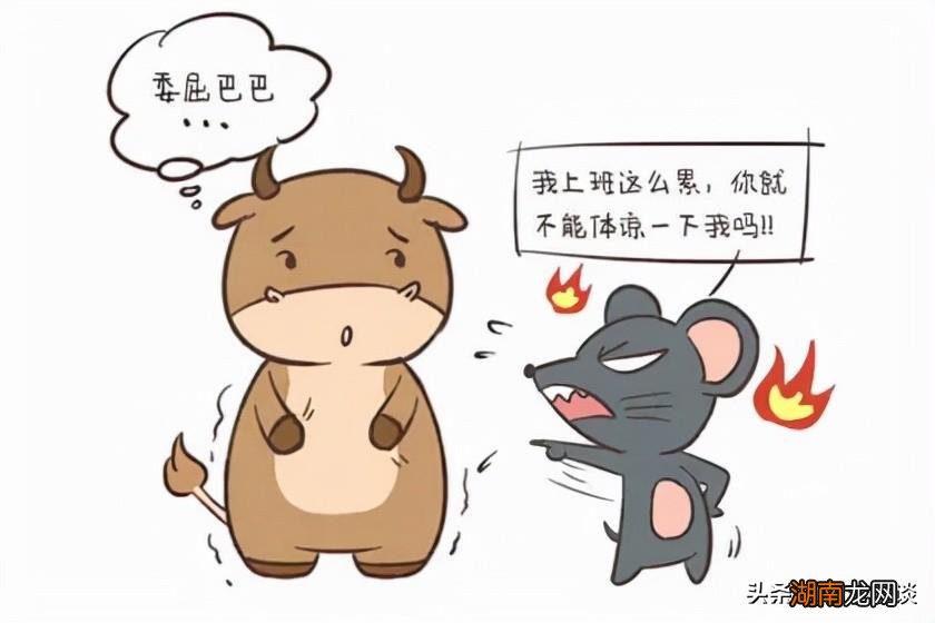 属鼠的女人人品怎么样 属鼠女人的性格和脾气