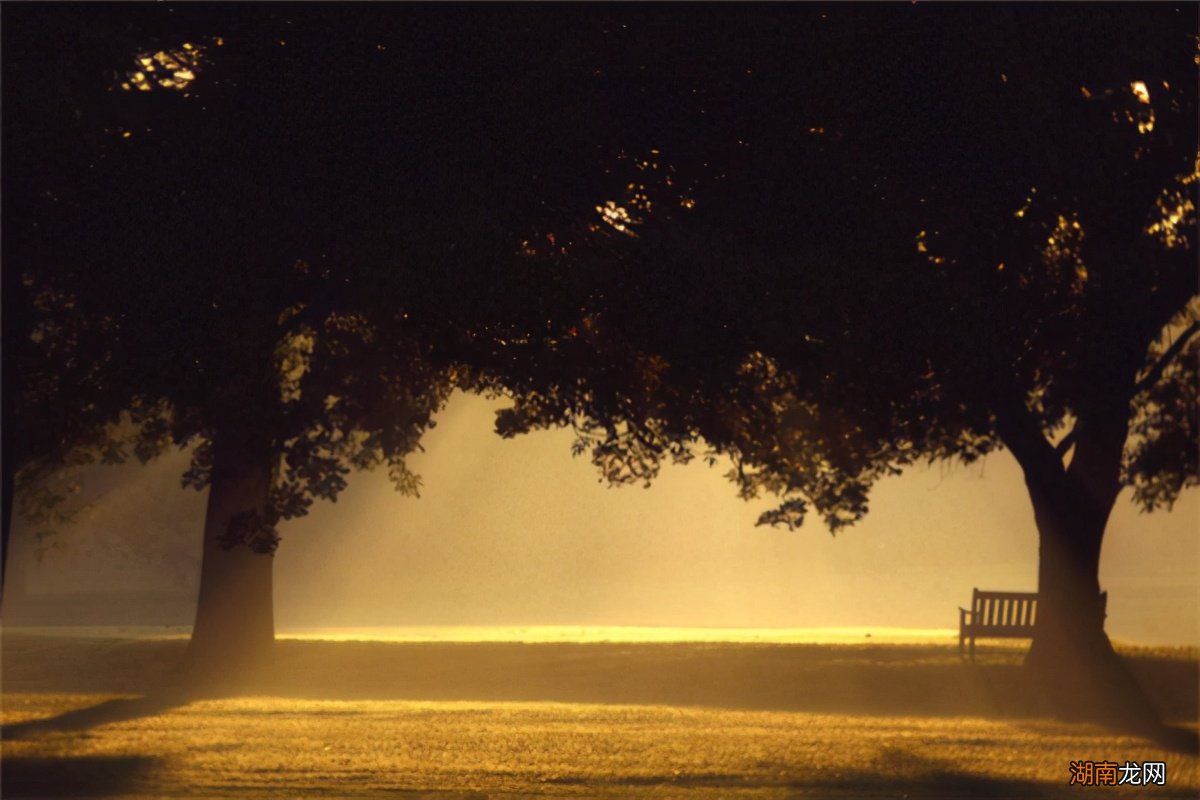 世界十大把人吓死的恐怖音乐 恐怖音乐排行榜前十名