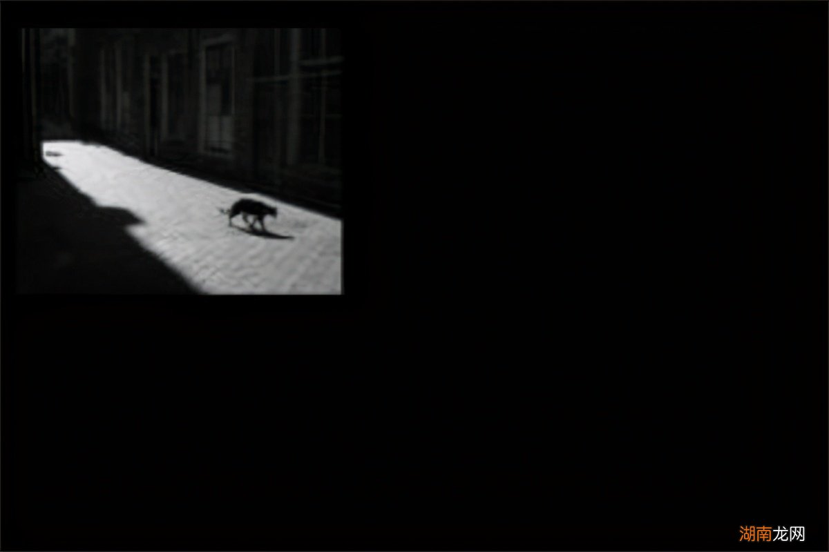 世界十大把人吓死的恐怖音乐 恐怖音乐排行榜前十名