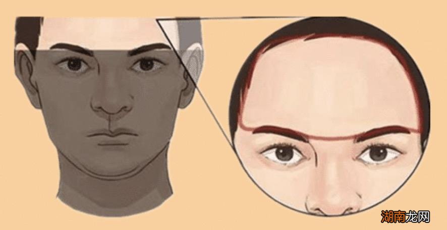 额头窄的人是不是比较笨呀