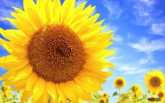 人生能转运的三大法宝推荐 最有效的转运方法