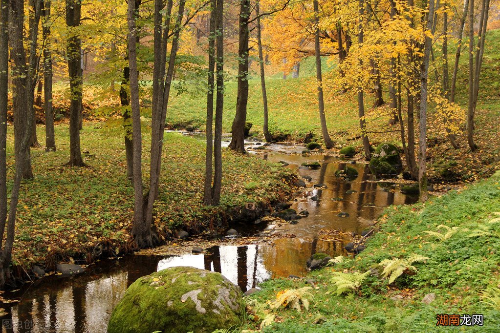 鲶鱼习性及垂钓技巧 如何钓大鲶鱼饵料技巧及钓法详解