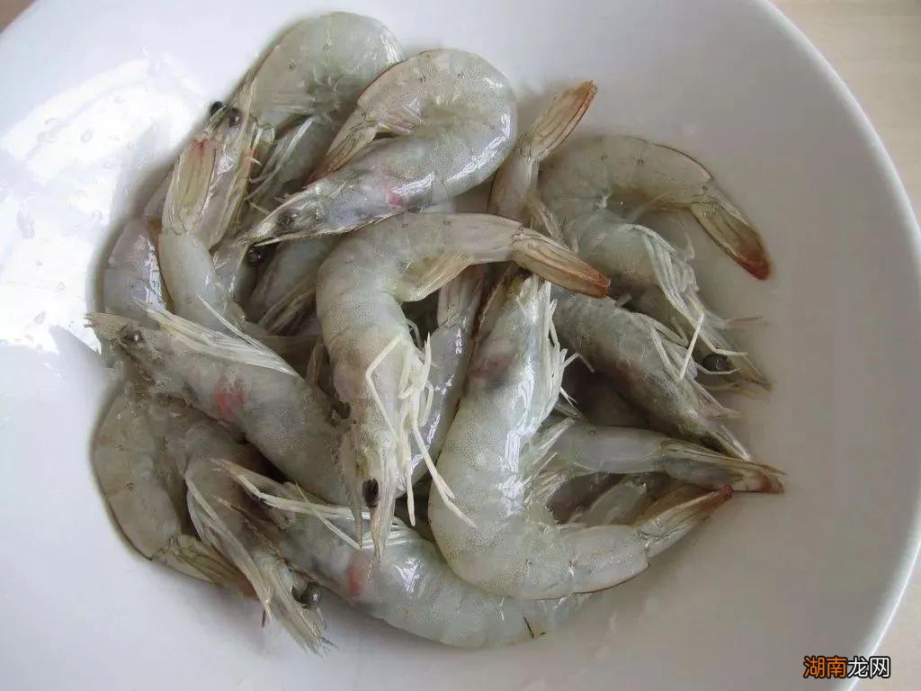 常见的虾种类以及名称介绍 虾的品种大全及图片