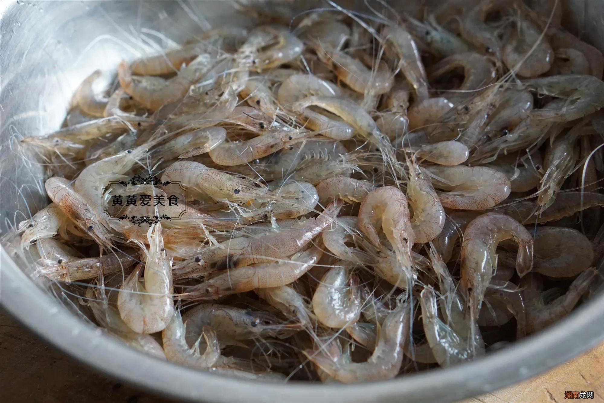 常见的虾种类以及名称介绍 虾的品种大全及图片