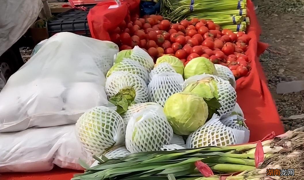 低成本高利润的小生意 适合50岁父母干的生意