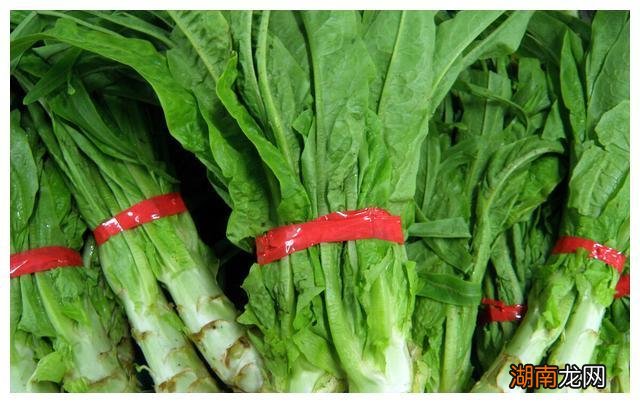 油麦菜下面的梗是莴笋吗?能吃吗?