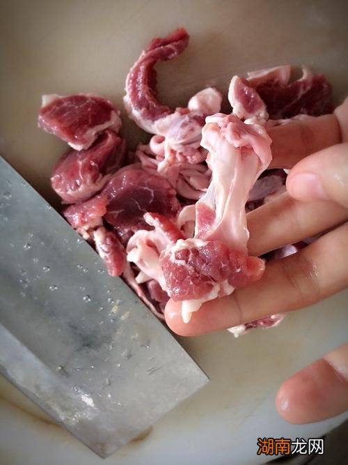 一般指猪腩肉 腩肉是什么肉