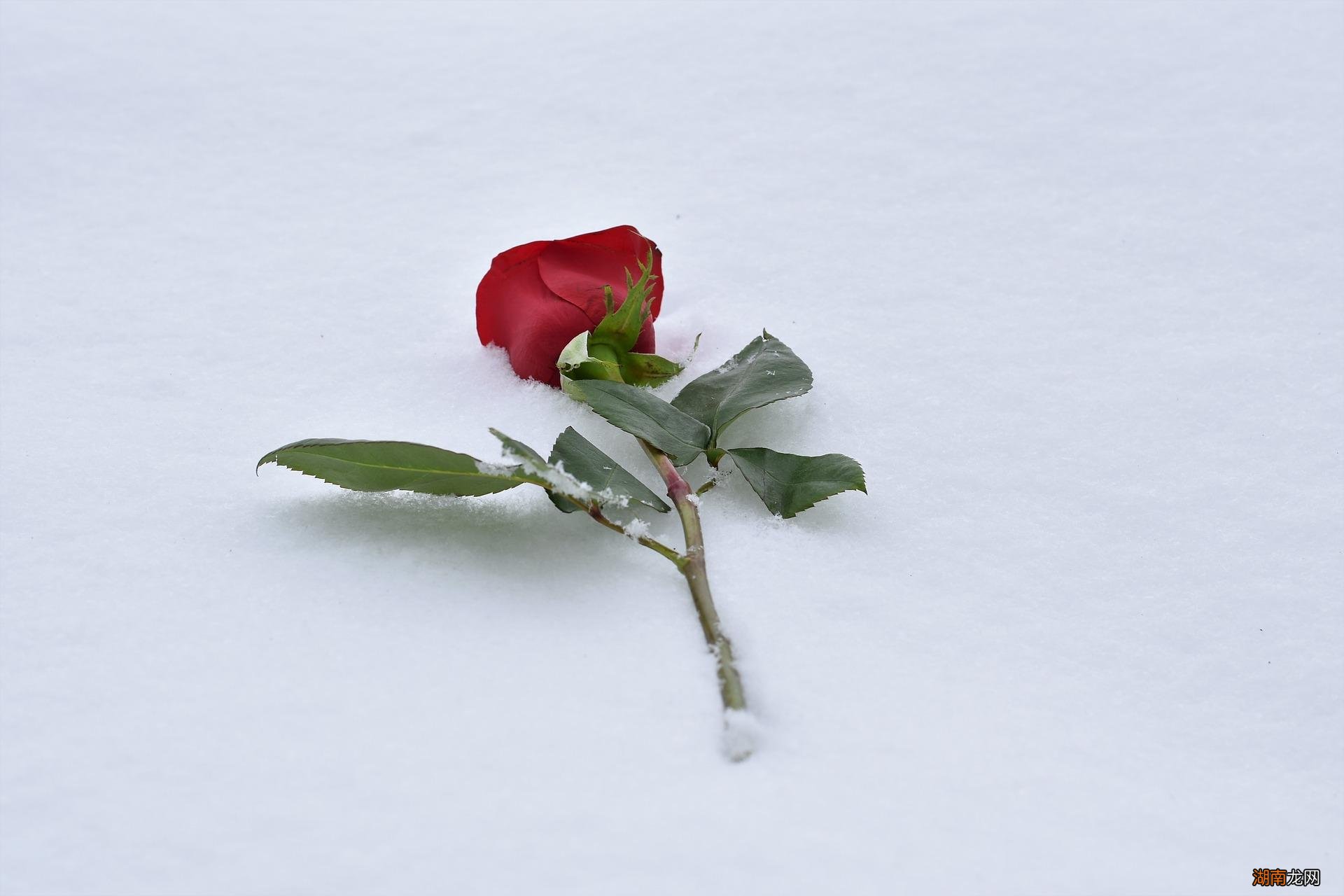 总在深夜找你聊天的男人 男生每天晚上固定和女生聊天