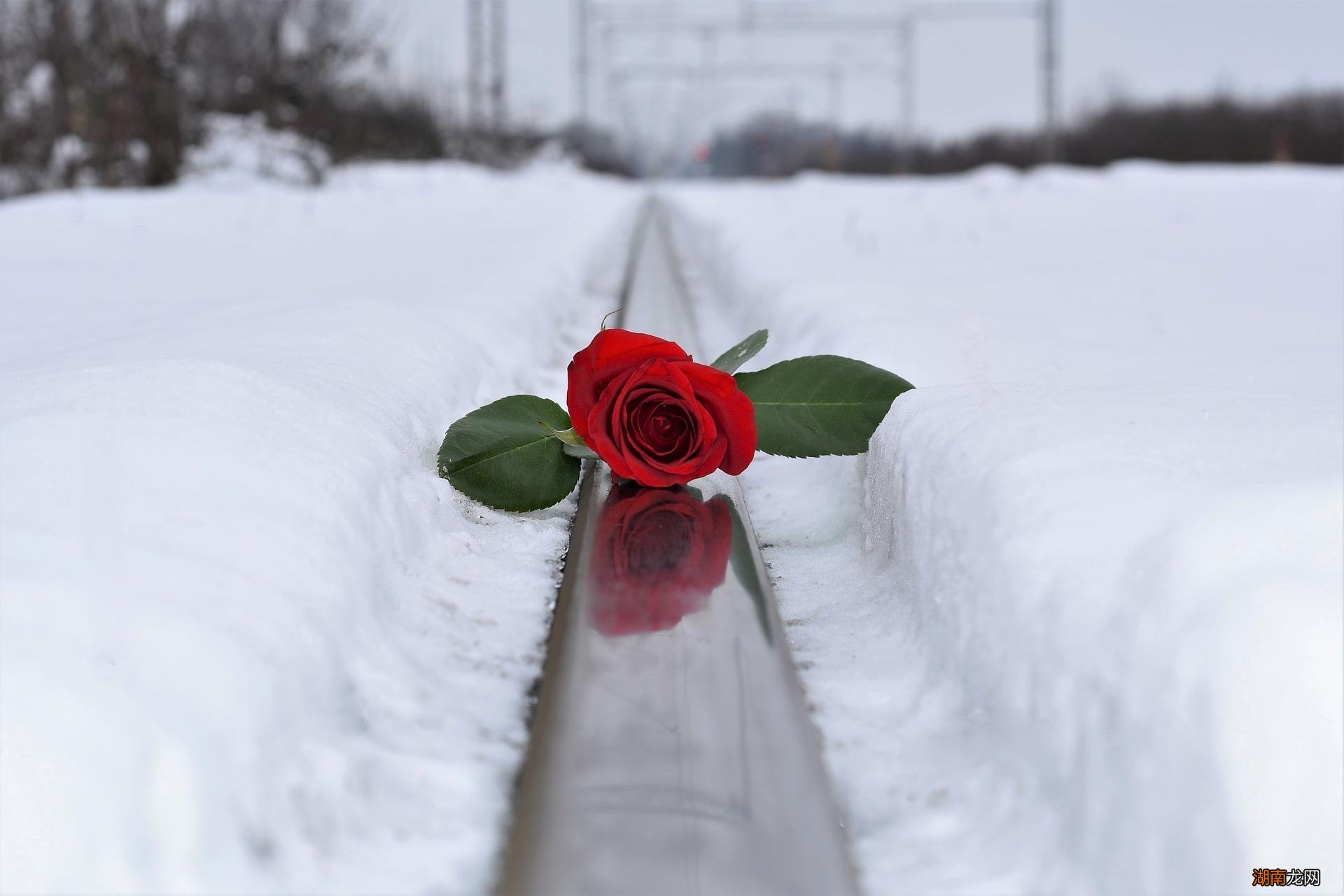 总在深夜找你聊天的男人 男生每天晚上固定和女生聊天
