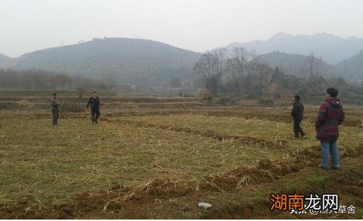 1英亩等于多大面积，怎么换算 1英亩等于多少亩