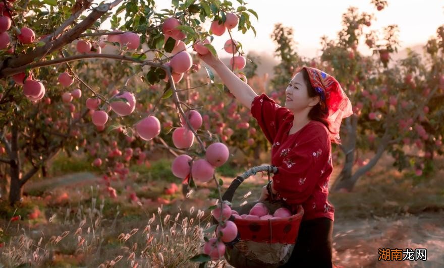 口碑好值得推荐的农村电视剧排行榜 优秀的农村题材电视剧