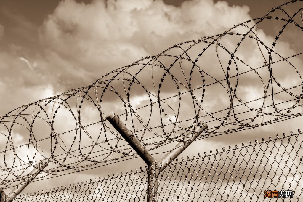 气功大师王林出事后的最终下场 王林大师是怎么回事