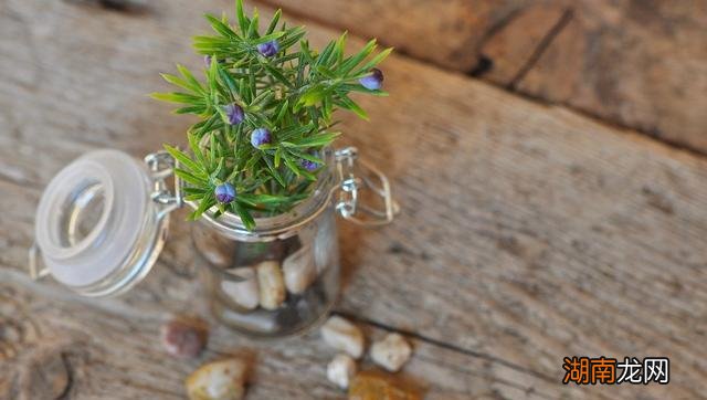 心理学男人真爱一个人特征 一个男人爱你爱到骨子里的表现