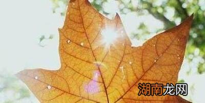 心理学男人真爱一个人特征 一个男人爱你爱到骨子里的表现