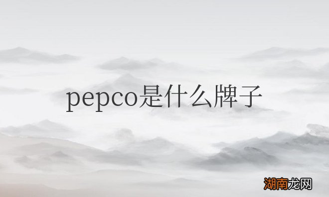 pepco是什么牌子衣服?价格如何?