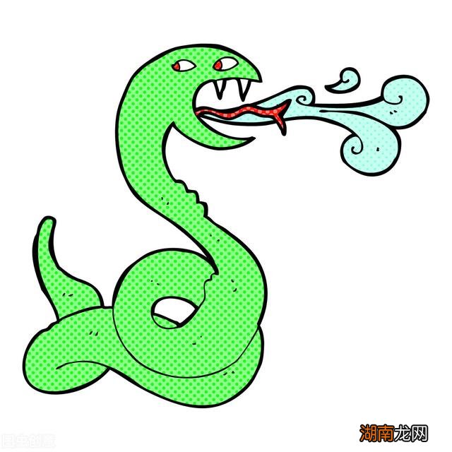 洞察力强直觉预测准的4大生肖 十二星座谁的直觉最准