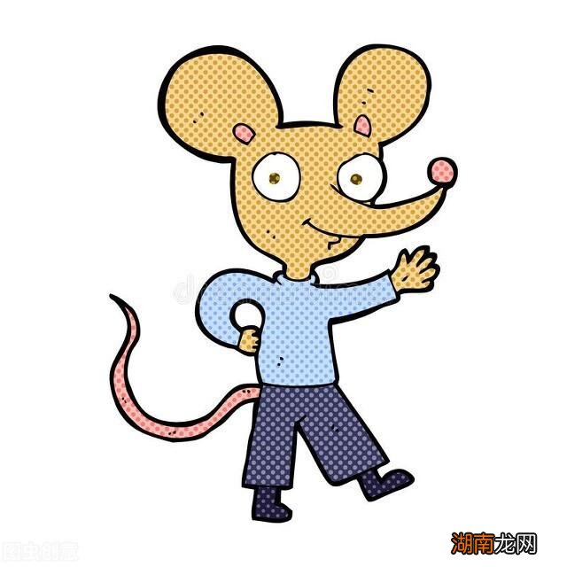 洞察力强直觉预测准的4大生肖 十二星座谁的直觉最准