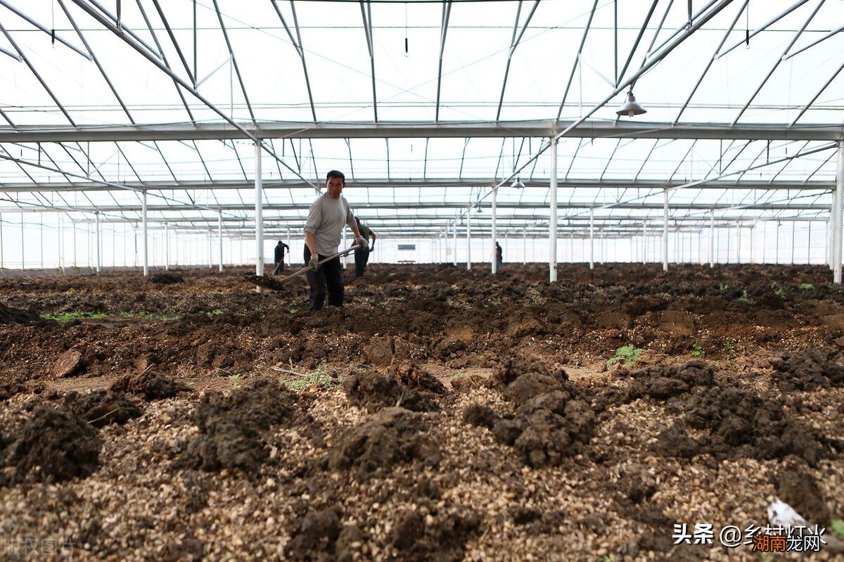 怎么养殖蚯蚓生长繁殖快又高产 蚯蚓吃什么长得最快