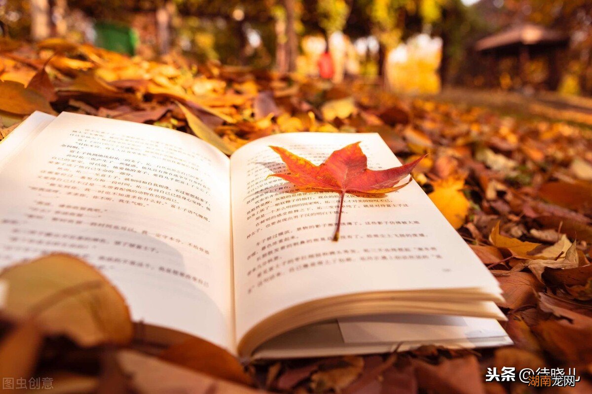 骑鹅旅行记主要主人公人物和内容 骑鹅旅行记的作者是谁